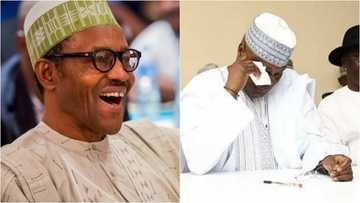 Shari’ar Atiku da Buhari: An sha mamaki yayin da shaidan PDP ya fashe da kuka a kotu