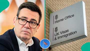 UK standard visitor visa: 11 things foreigners are allowed to do in Britain