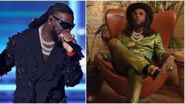 Obi Cubana is our real Odogwu: Mixed reactions as Burna Boy calls out people using his nickname to pay him