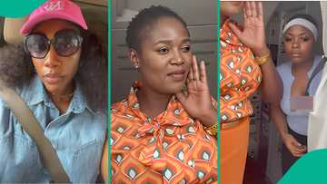 Observant lady raises thought-provoking question about Ibom Air hostess who was slapped