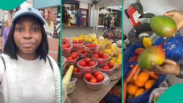 Nigerian lady tests UK economy, displays items she bought with small amount of money