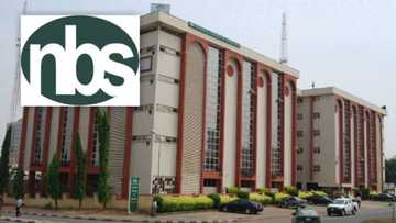Breaking: Nigeria’s inflation rate drops to 17.01% in August, NBS report reveals