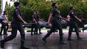 Mace kamar maza: 'Yar sanda ta hana satar akwatin zabe a Ogun (Bidiyo)