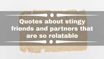 Quotes about stingy friends and partners that are so relatable