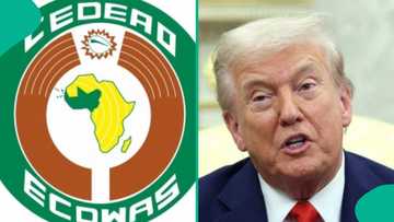 ECOWAS rejects Trump’s genocide allegations against Nigeria, sends strong message