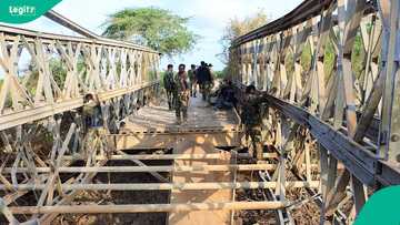 2025: List of 10 countries that have suffered most from the deadly hands of terrorists