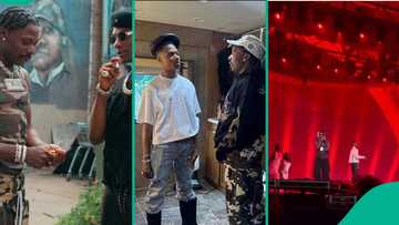 “Davido, Burna Boy no fit relate”: Reactions as Wizkid, Asake send fans to frenzy at Hollywood Bowl