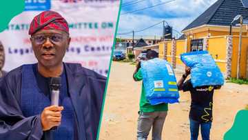 Lagos farmers get 25% subsidy on fish, poultry feeds through ‘Ounje Eko’ initiative