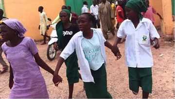 Female student abducted by terrorists in northern school gives birth in kidnappers' den