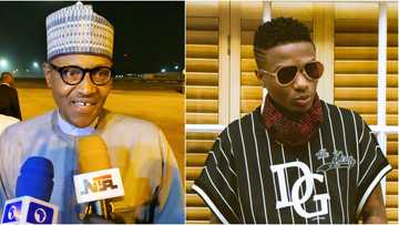 Wizkid reacts to President Buhari's UK trip, says 'nobody chop life pass Bubu'