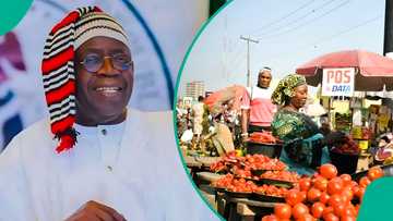 Nigeria’s reforms: How pain turned into progress for millions