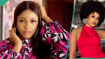 "She shouldn't have called out MultiChoice": BBNaija's Ahneeka blasts Phyna over winning prize