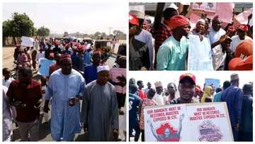 Sabuwar zanga-zanga ta ɓarke a cikin birnin Kano kan hukuncin tsige Gwamna Abba Kabir na NNPP