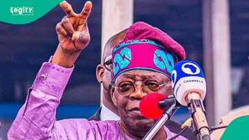 Why Tinubu’s reforms in oil and gas regulation are worth celebrating, energy group explains