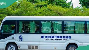 Nigerians react as appeal court overturns judgment allowing hijab at UI International School
