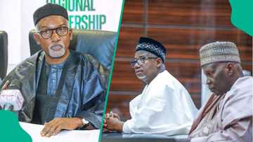 Minista ya fadi yadda gwamnan Bauchi ya so sharara masa mari a gaban Kashim