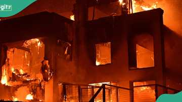 New mom dies as woman trying to kill cockroach sets apartment ablaze