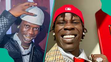 Celestial Church Cleric Goes Viral for Singing Seyi Vibez's 'Normally' During Worship