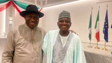 Ana gab da zaben fidda gwani, Babban Hadimin Buhari ya gana da Jonathan a Abuja
