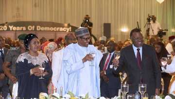 Kayatattun hotuna 5 daga wurin walimar da aka yi a Ranar Damukaradiyya a Aso Villa