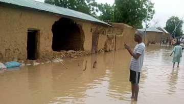 Banda asarar dukiya: Ambaliyar ruwa ta halaka mutane 40 a Jigawa