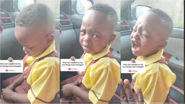 "Please buy him Masa": Boy throws tantrum as dad denies him snack, cites fuel scarcity as excuse