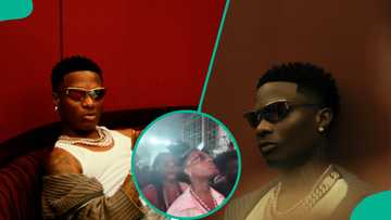 “Dare Akapo Sociology”: Wizkid’s old schoolmate calls out to singer at event, Star Boy reacts