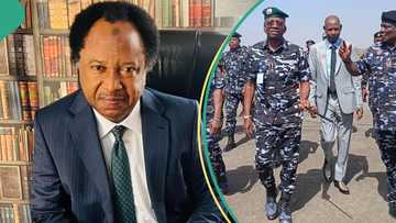 State police: Shehu Sani explains what will happen when there’s conflict between state and FG