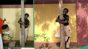 "The tree chose me": Ugandan activist says after hugging tree for 16 hours to break Guinness Record