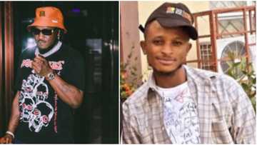Na 2 markets you buy: Peruzzi blows hot as troll calls Davido's Ifeanyi his son, singer asks for DNA result