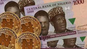 Da duminsa: Babban bankin Najeriya ya kaddamar da shafin yanar gizo na E-Naira