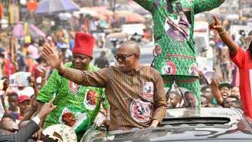 Finally, Peter Obi's lawyers begin inspection of 2023 presidential election materials