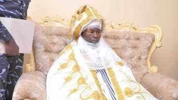 Breaking: Gombe governor finally appoints Danladi Maiyamba as new Mai Tangale