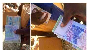 New Naira Notes: Nigerians Turn To CFA Francs at Borders as Scarcity of Cash Bites