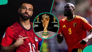 Belgium vs Egypt: Mysterious cat predicts 2026 FIFA World Cup group stage match