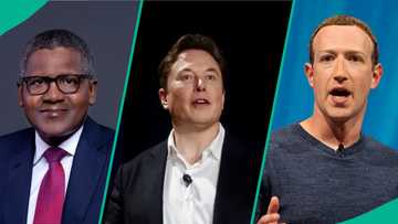 US leads, others follow on list of 10 countries with most billionaires in 2025