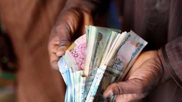 Naira Ta Gama Zabure Zabure a Kasuwa, Ta Koma Gidan Jiya da $1 ta Harba N1120