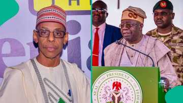 "Muna cikin babbar matsala," Baba Ahmed ya cire tsoro, ya yi wa Tinubu kaca kaca