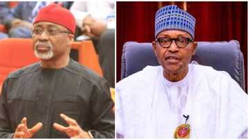 Top member of Senate leadership attacks President Buhari over failures