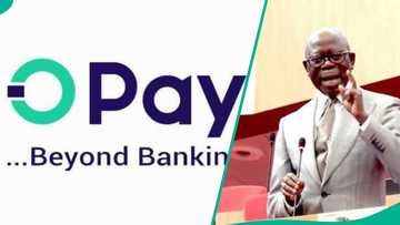 Sanata Oshiomhole ya kai maganar Opay da Moniepoint gaban Majalisar Dattawa