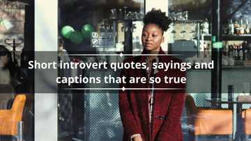 130+ short introvert quotes, sayings and captions that are so true