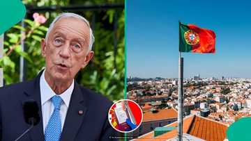 Portugal releases names of 59 countries eligible for visa-free entry, displays entry conditions