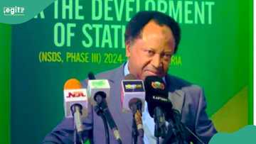 Ya kamata Najeriya ta jagoranci kasashen Afrika a girman tattalin arziki, Shehu Sani