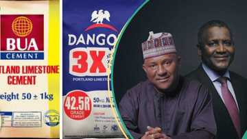 Dangote, BUA, Lafarge and more: Top 5 cement brands in Nigeria, their current prices