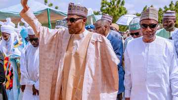 Buhari ya yi bikin Sallah a Daura tare da shugaban kasar Guinea (Hotuna)