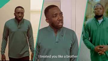 Drama as comedian Bovi takes up Brain Jotter's role in video, rocks his outfit, imitates his moves