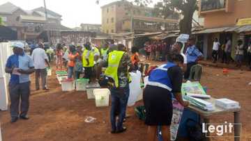 US ambassador makes first statement on conduct of Nigeria's polls