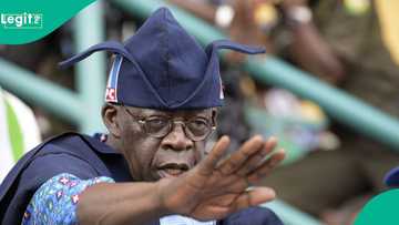 Tinubu issues fresh warning to content creators, others, "Verify before you post"