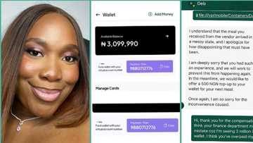 "Sack the accountant": Chats leak as lady mistakenly gets N3 million from food company, people react