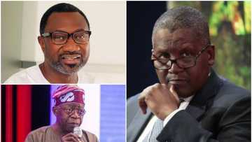 Update: Dangote not a member of APC campaign council - Presidency